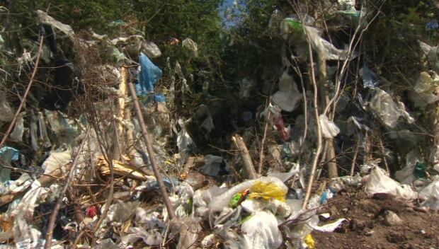 Plastic bags at landfill