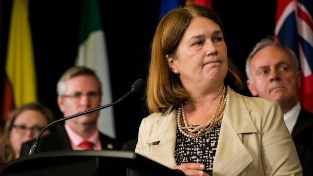 Federal Health Minister Jane Philpott, centre, speaks during a federal, provincial and territorial health ministers' meeting in Toronto on, October 18, 2016. 