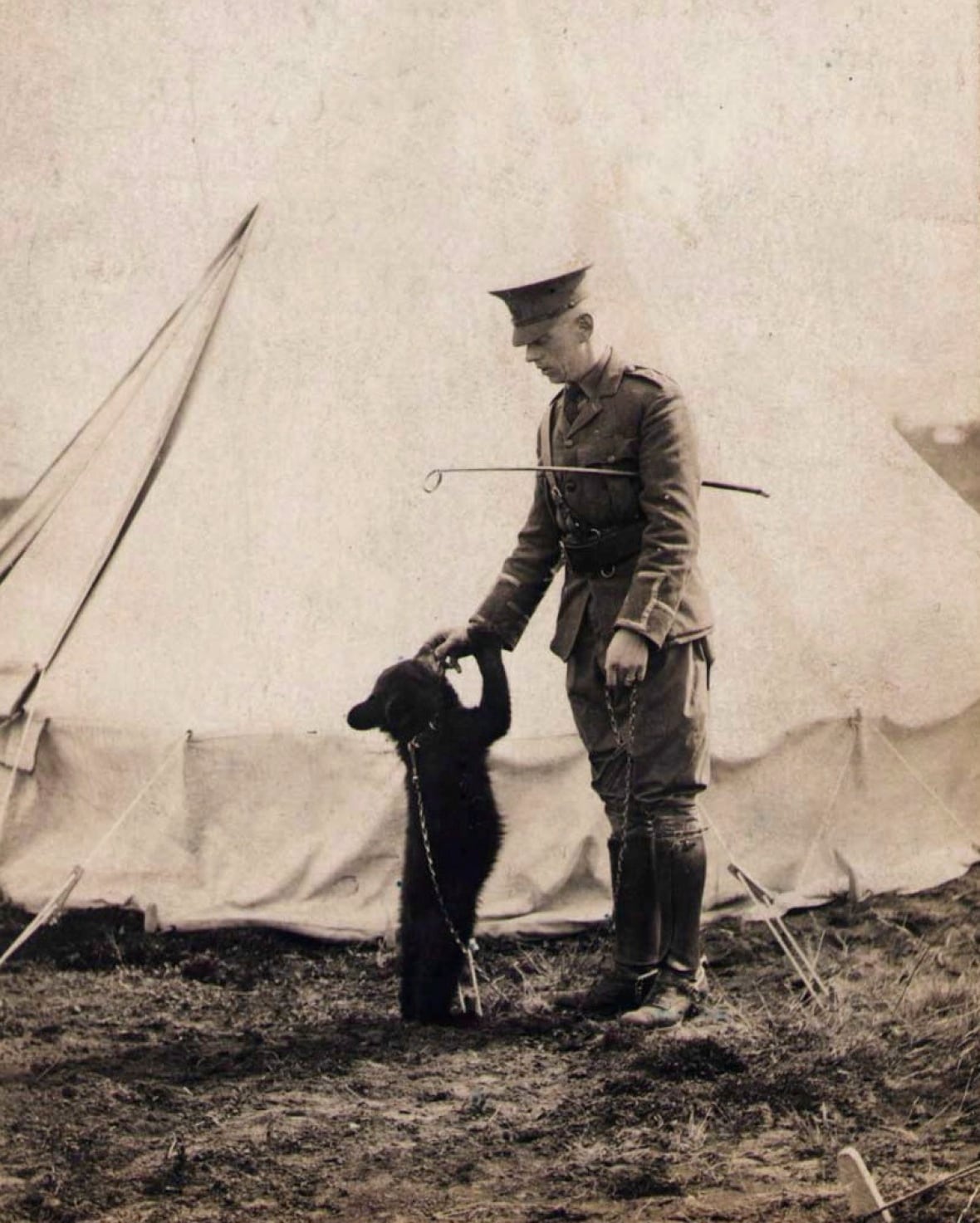 A man pets a young bear.