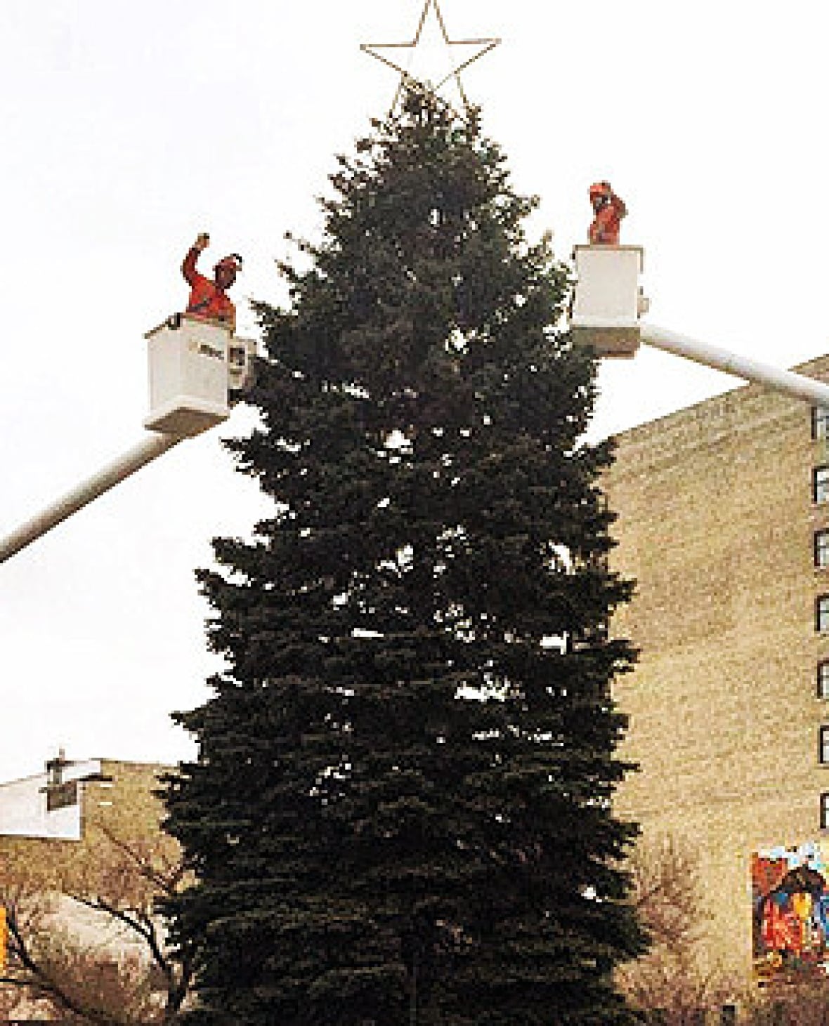 City's annual Christmas tree goes up this weekend in Winnipeg CBC News