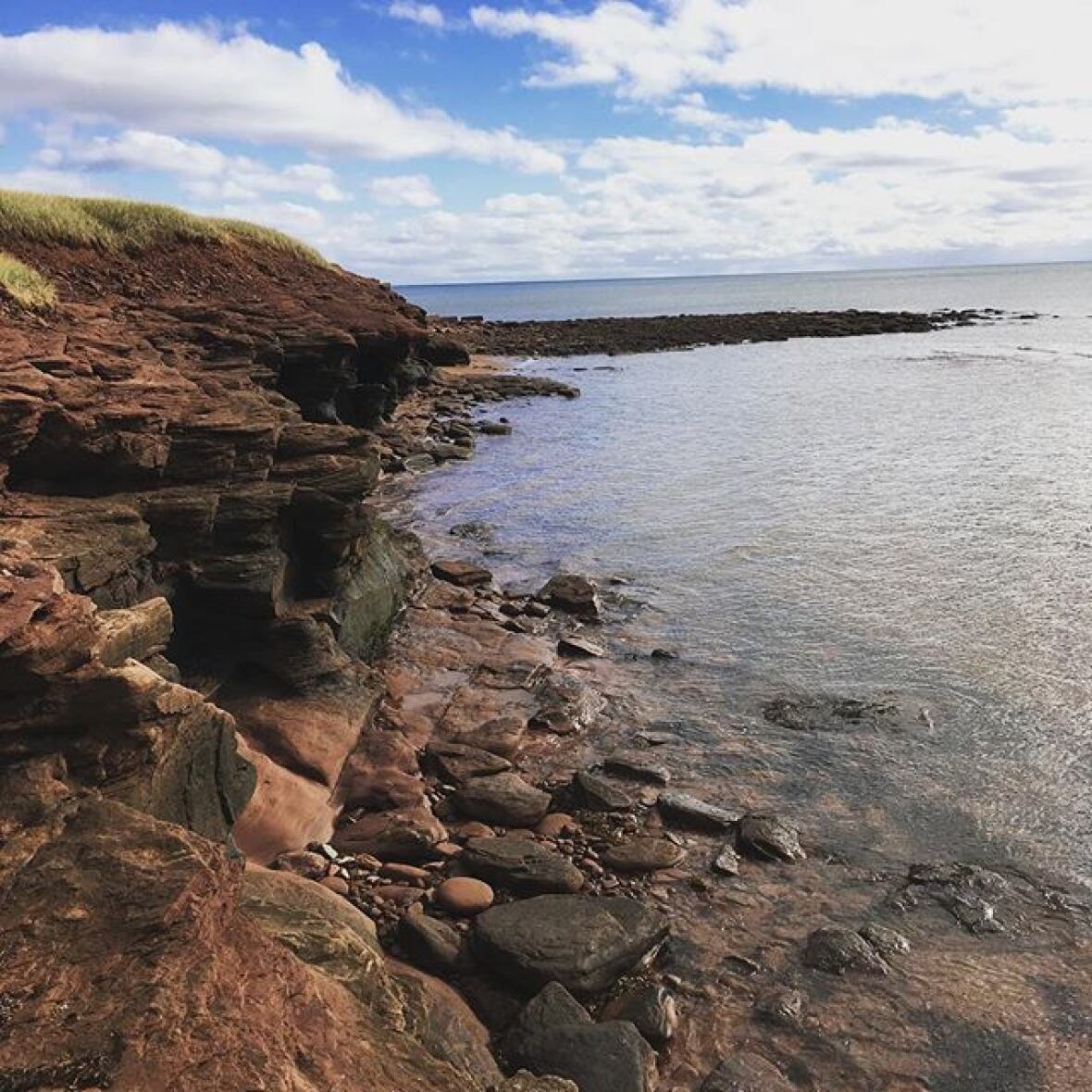 Your P.E.I. Nature on the Island CBC News