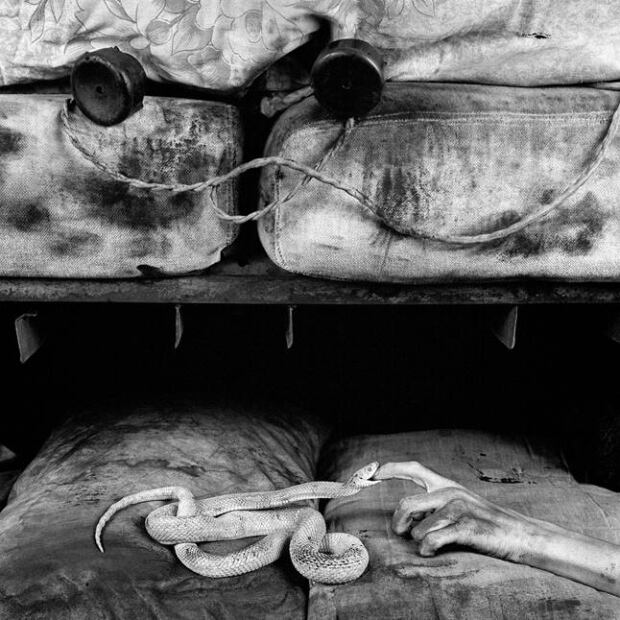 Roger Ballen