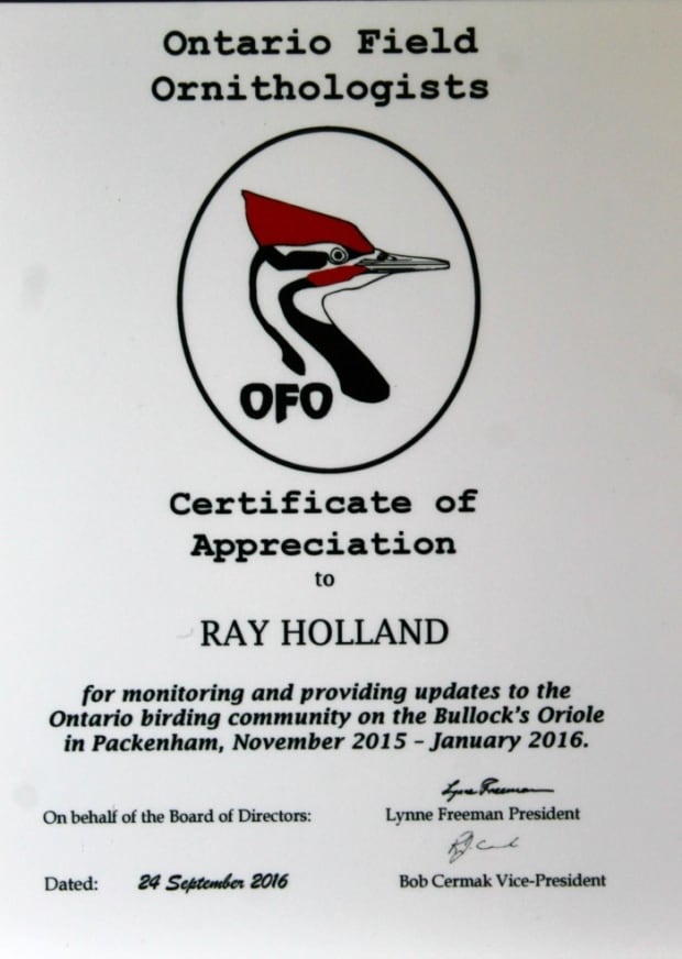 appreciation award
