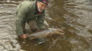 robinson-salmon-petitcodiac