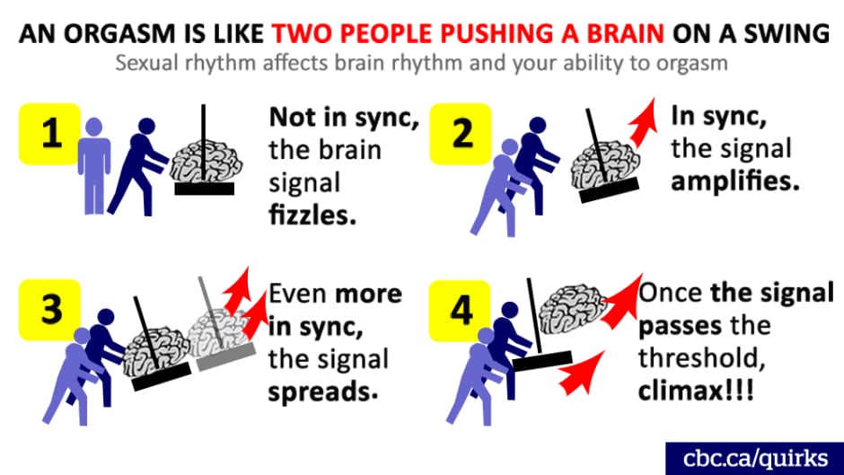 In this metaphor for neural entrainment, the person (or people) pushing the swing is the rhythmic sexual stimulus and the person on the swing is your brain's response.