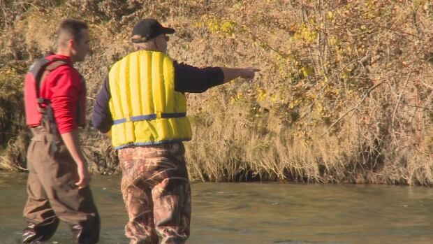 trout count
