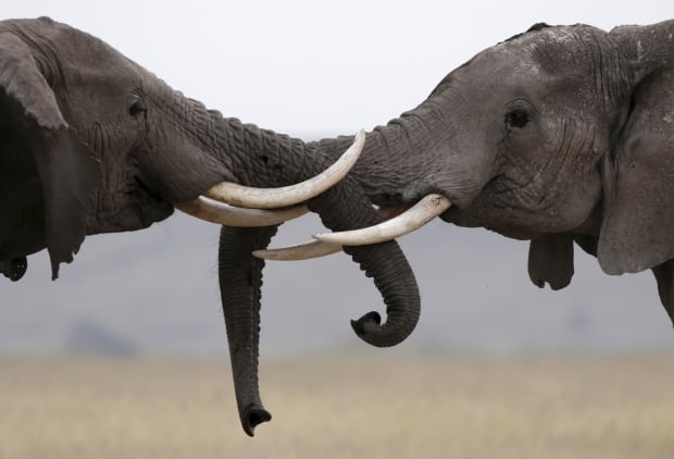 KENYA