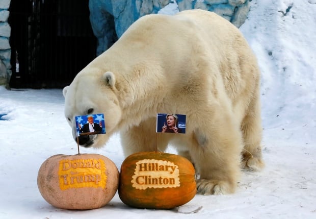 USA-ELECTION/RUSSIA-ZOO