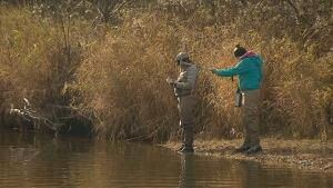 Salmon tracking