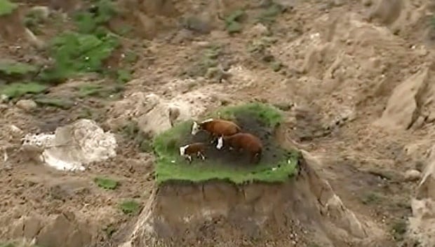 New Zealand Earthquake
