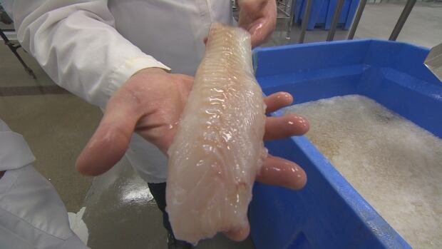 Icewater Seafoods