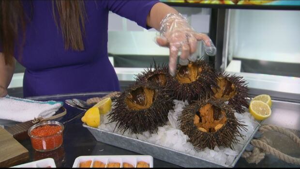 Sea Urchin
