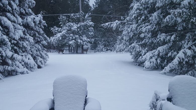 snowvember arrives in ottawa gatineau ottawa cbc news snowvember arrives in ottawa gatineau ottawa cbc news