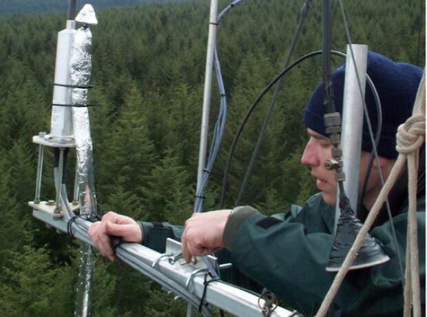 Eddy-correlation measurement of organic carbon storage