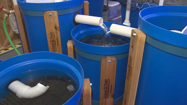 Toronto walter filtration