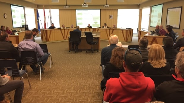 Mountain View Council Meeting