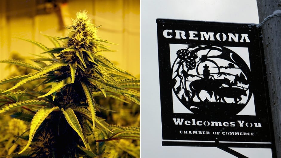 Cremona Marijuana Collage