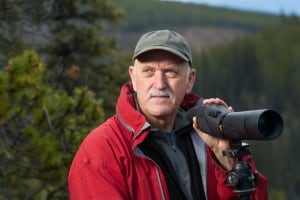 Bob Hayes Yukon Wolf