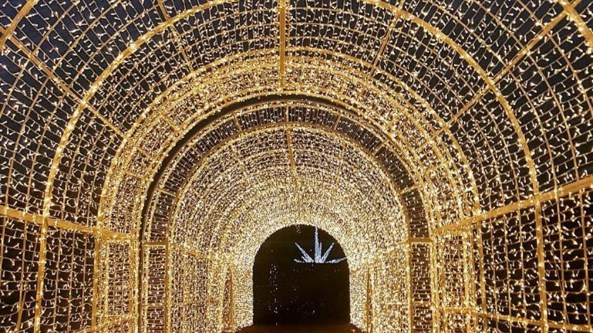 'World's largest Christmas light maze' sparkles in Vancouver British