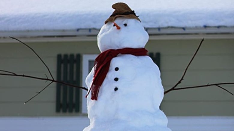 Nothing Like Bit Of Snow To Really Put >> On Tuesday S Crosstalk Let It Snow Let It Snow Cbc News Nothing Like Bit Of Snow To Really Put >> On Tuesday S Crosstalk Let It Snow Let It Snow Cbc News