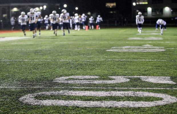 Artificial Turf Defect