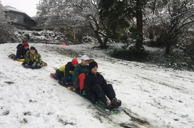 sledding at QE park