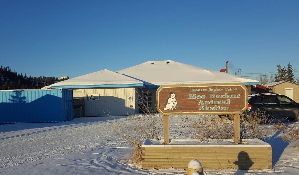 A sign for the Mae Bachur animal shelter.