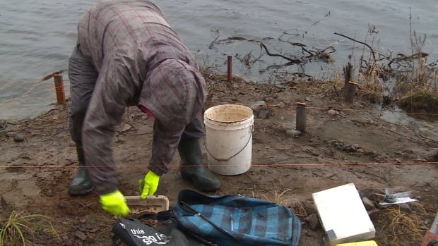 Exploits River Grosswater Dig