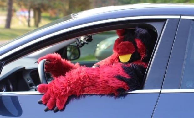 Furries furry subculture