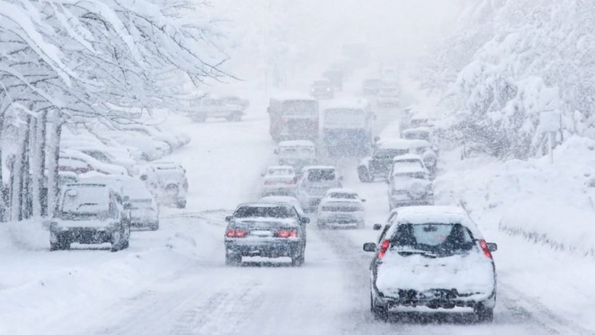 B.C.'s South Coast braces for a snowy Tuesday