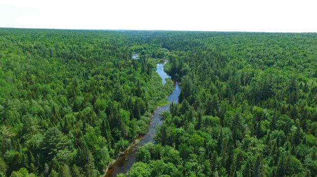 Bartholomew River
