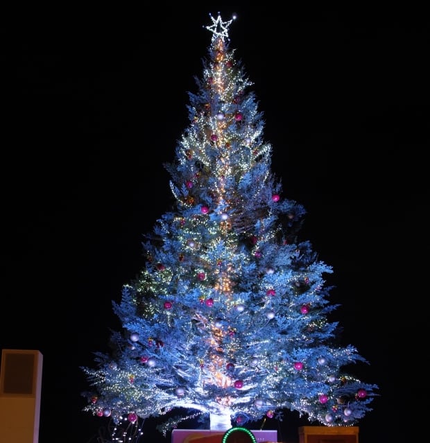 This city halfway around the world has a giant Christmas tree from Nova Scotia Nova Scotia