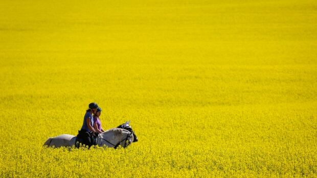 Canada delivers third-straight monthly trade surplus