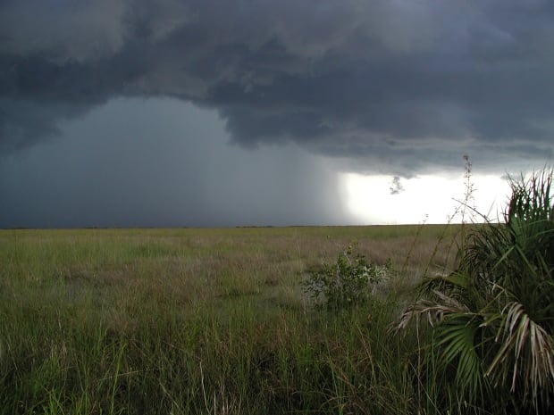 Florida Everglades