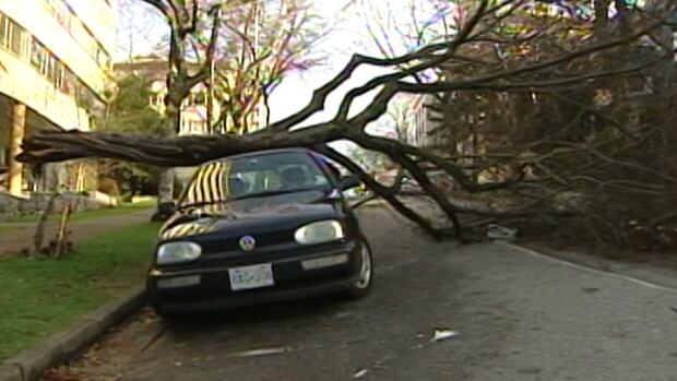 B.C. windstorm 2006