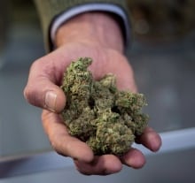 Mtl Pot Dispensaries 20161215