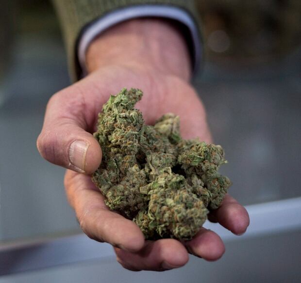 Mtl Pot Dispensaries 20161215
