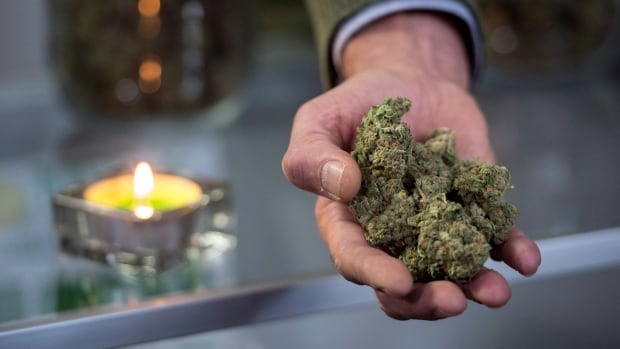 Brantford cops raid pot dispensary 1 day after it opens | CBC News