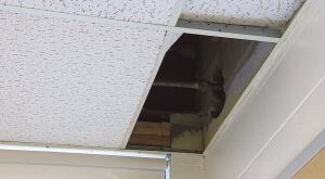 Asbestos - PEI schools