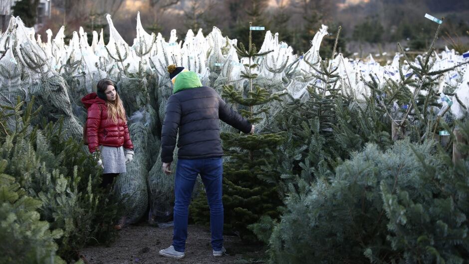 how to survive christmas when one spouse loves it and the how to survive christmas when one spouse loves it and the