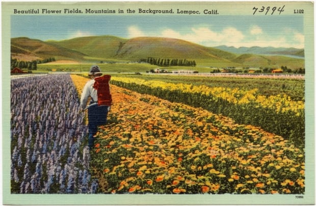 postcard