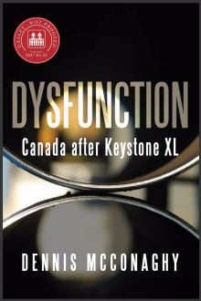 Dysfunction book by Dennis McConaghy