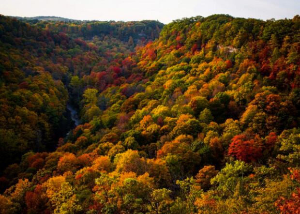 The Gorge Conservation area