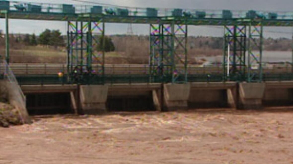 Petitcodiac River bridge called a huge step — but salmon need more