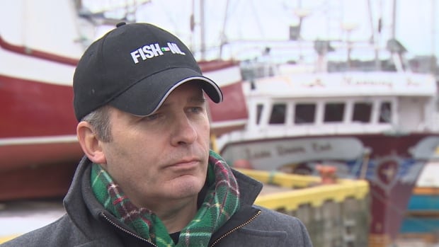 Former FISH-NL president forms new group to represent inshore fish har... image