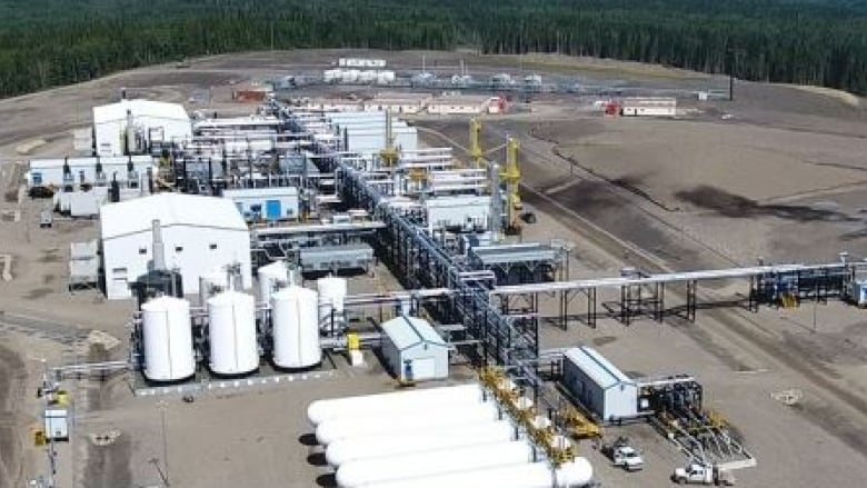 Painted Pony Warns Natural Gas Output Will Fall Due To B C