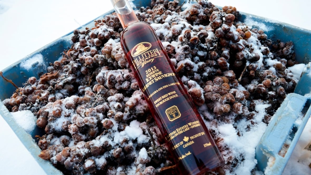It's a fruitful winter for Ontario icewine Hamilton CBC News