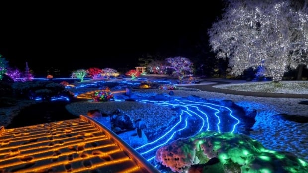 Winter lights illuminate natural beauty of Lethbridge Japanese garden