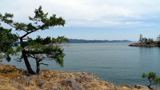 Ruckle Provincial Park