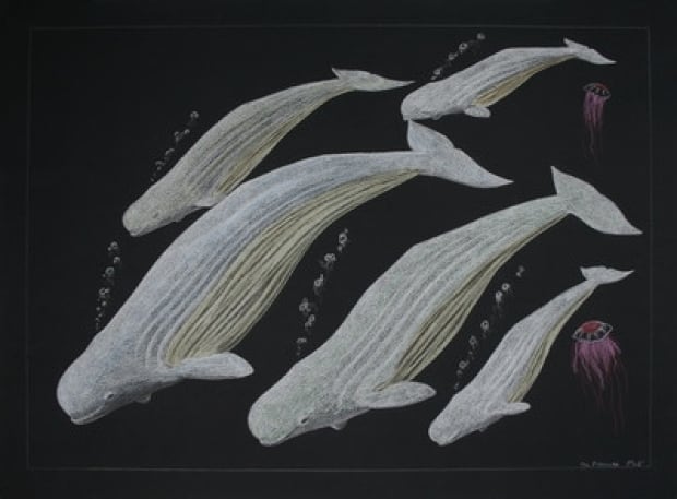 Untitled (Beluga whales & Jellyfish)